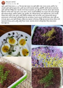 Best Microgreens Experience with Water&Plant