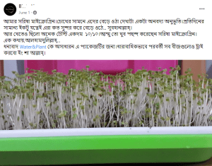 Girl Grows Mustard Microgreens at Home in Bangladesh