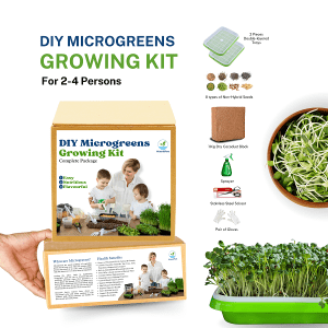 Microgreens Growing Package in Bangladesh