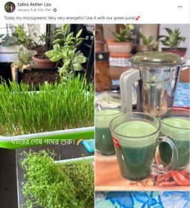 Microgreens Juice by WaterandPlant