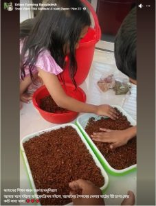 Microgreens Learning by Children with Water and Plant