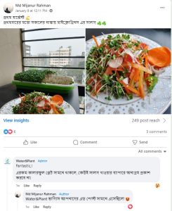 Microgreens Salad by Water&Plant