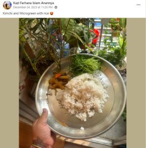 Microgreens Salad with Rice by Water&Plant