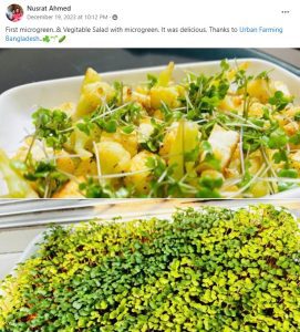 Microgreens and Vegetable Salad by Water&Plant