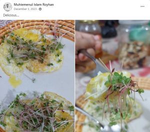 Microgreens with EggFry by Water&PLants