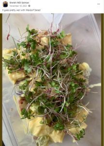 Microgreens with Waldorf Salad by Water and Plant