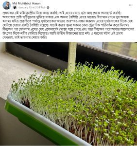 Valuable info about Microgreens by Water and Plant