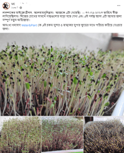 Water&Plant Microgreens Growing Kit Review in Bangladesh