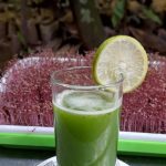 eating microgreens juice in Bangladesh