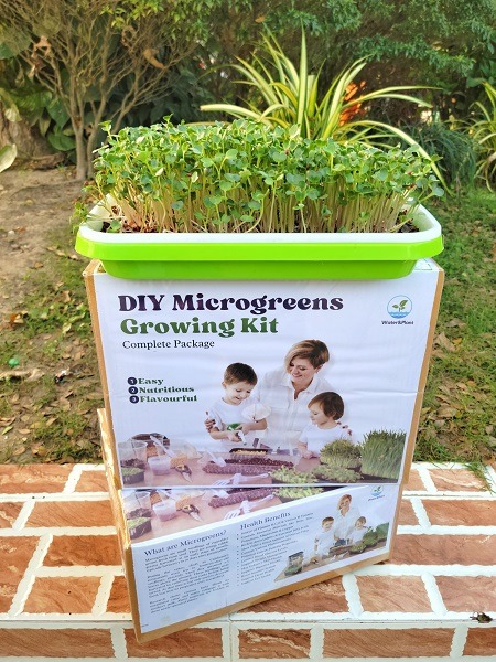 Microgreens Growing Kit Package by Water&Plant