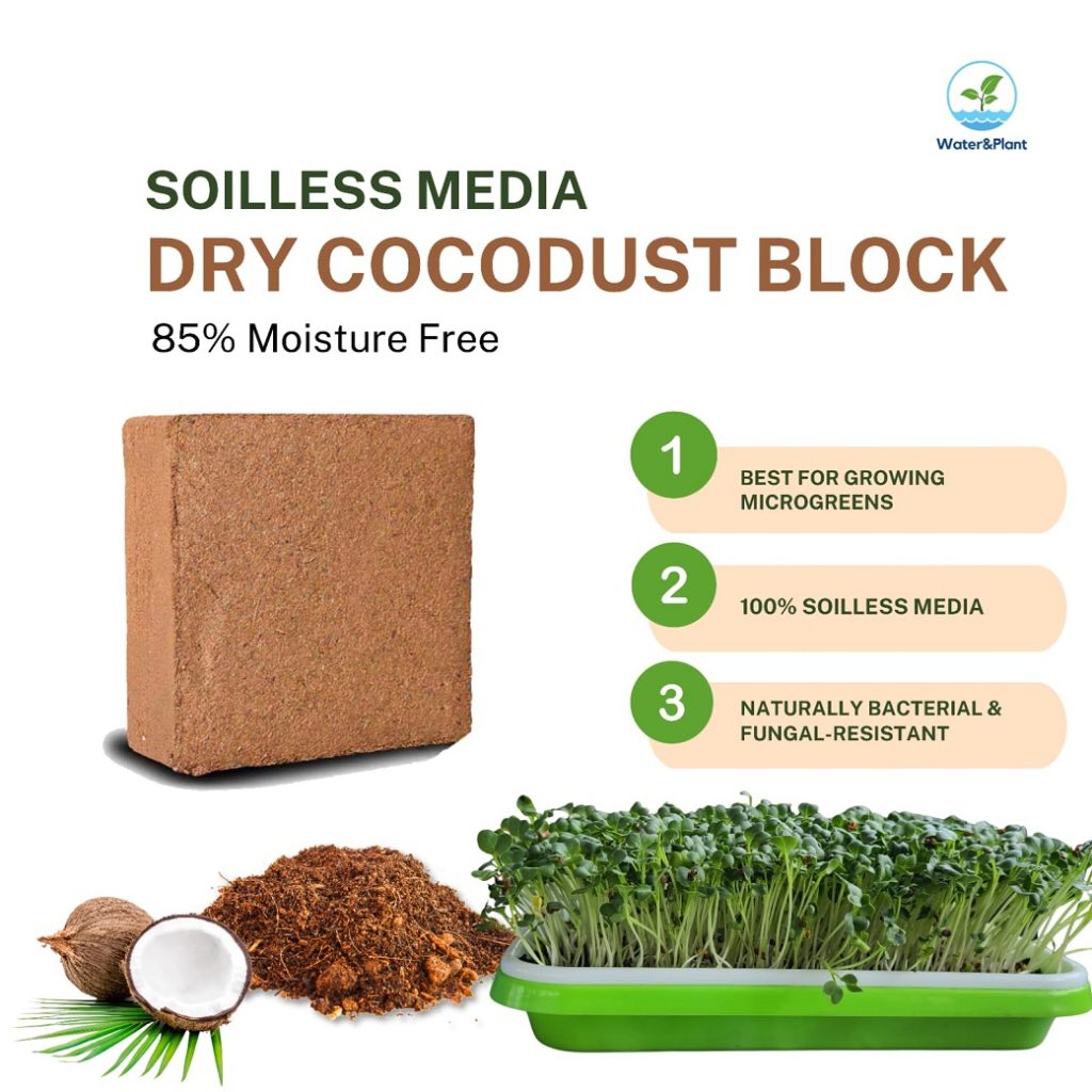 Cocodust Block - 4kg