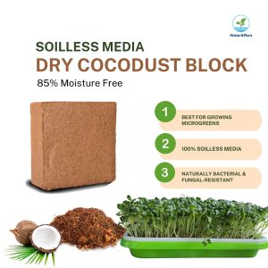 Cocodust Block 4kg Price in Bangladesh