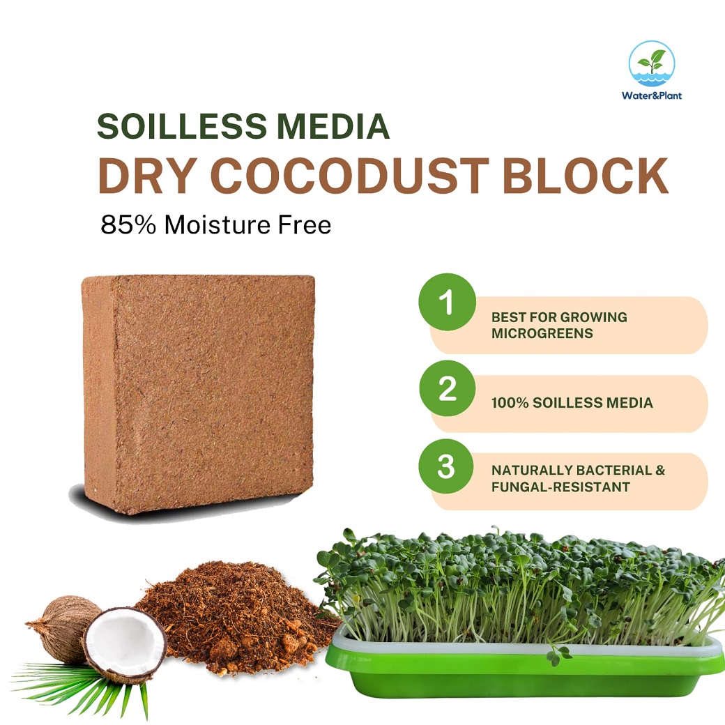 Cocodust Block 4kg Price in Bangladesh