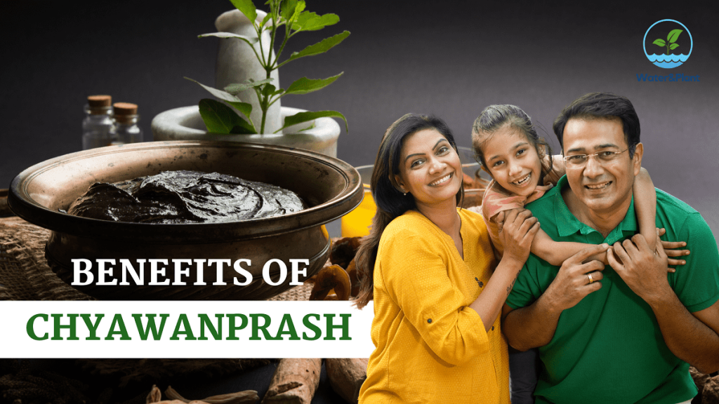 Chyawanprash Health Benefits