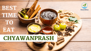 best time to eat chyawanprashs