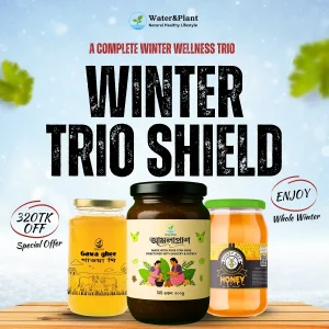 Winter Trio Shield