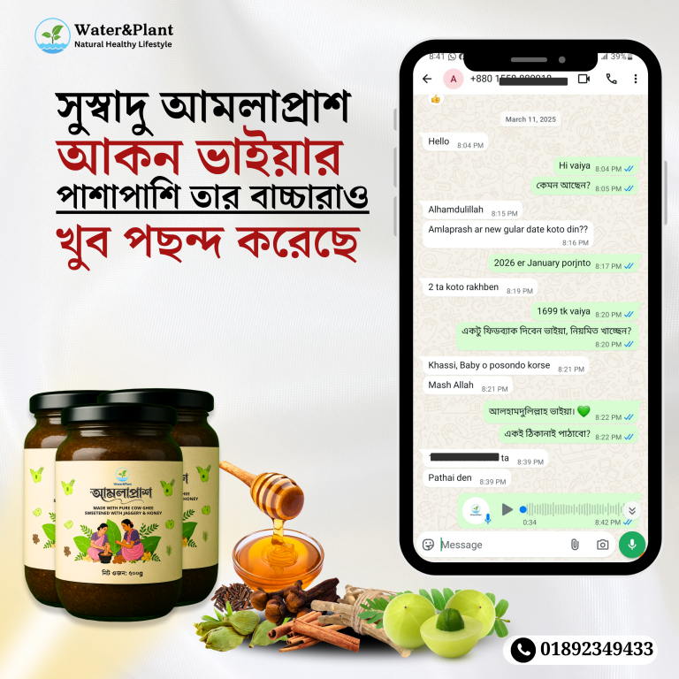 Amlaprash _20251031_205057_0000