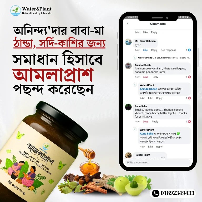 AmlaprashAnindoReview