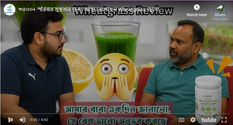 Wheatgrass - Rony